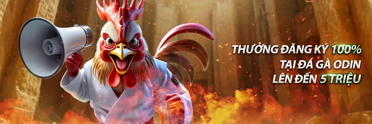 Giao diện ứng dụng bg888 trên điện thoại và máy tính bảng